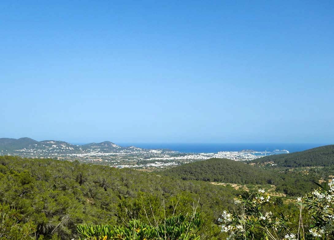 bg_image